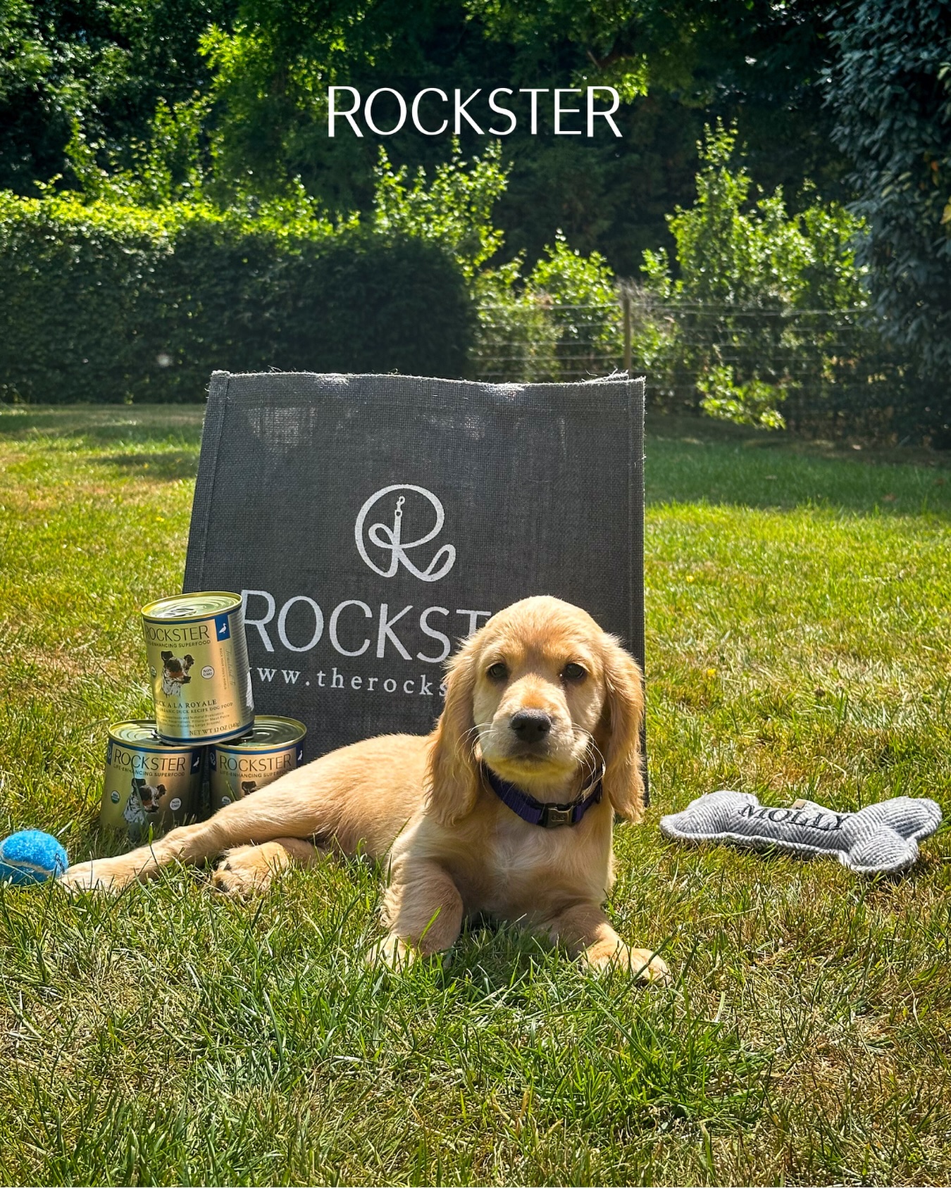 Rockster