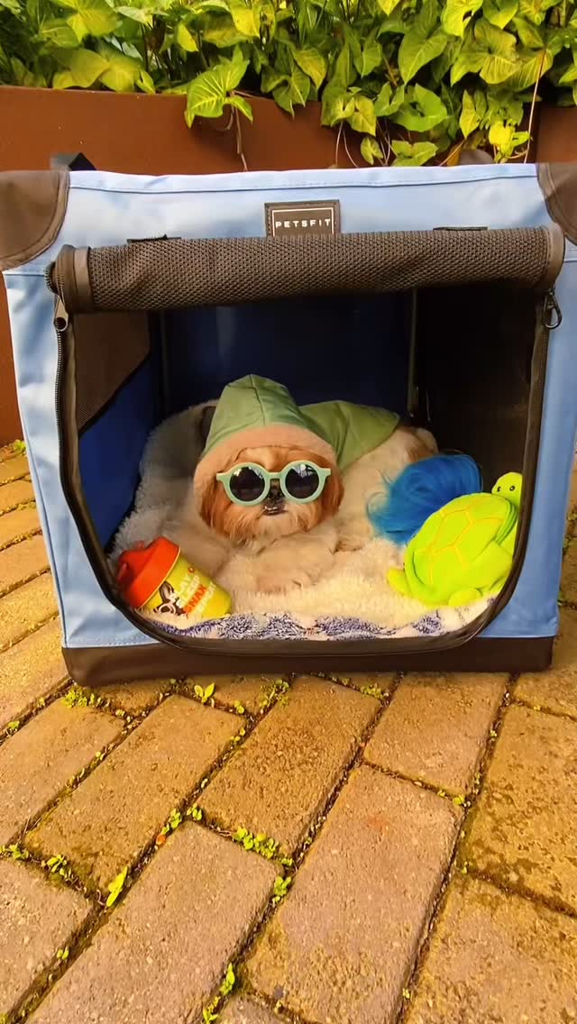 Petsfit