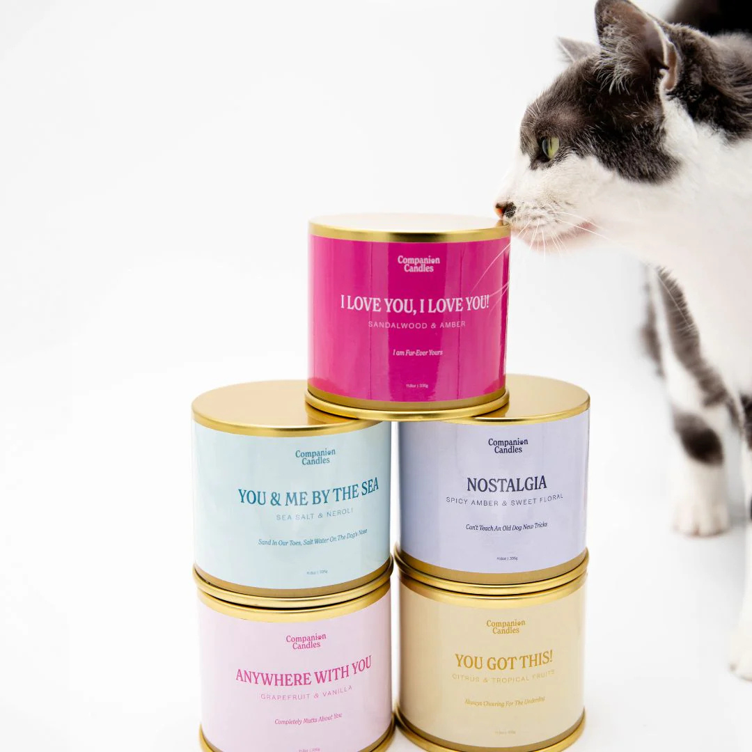 Companion Candles
