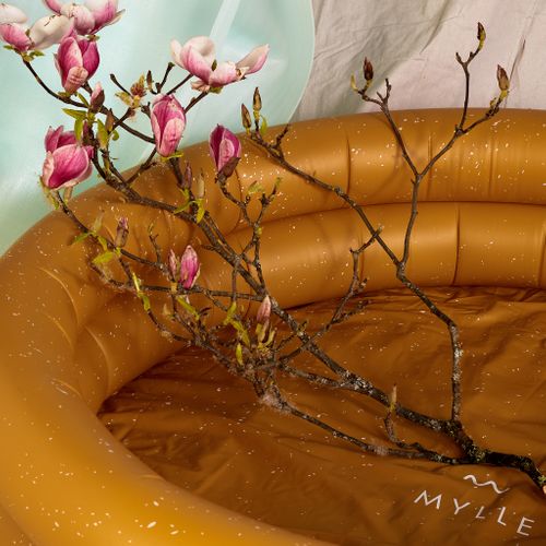 Mylle