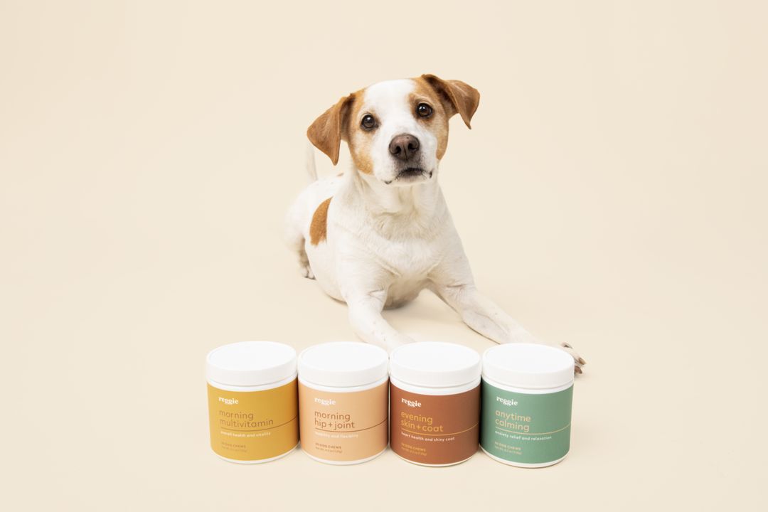 Reggie 2021 Information, Photos, Reviews Thingtesting