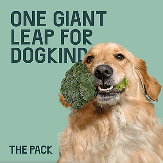 THE PACK