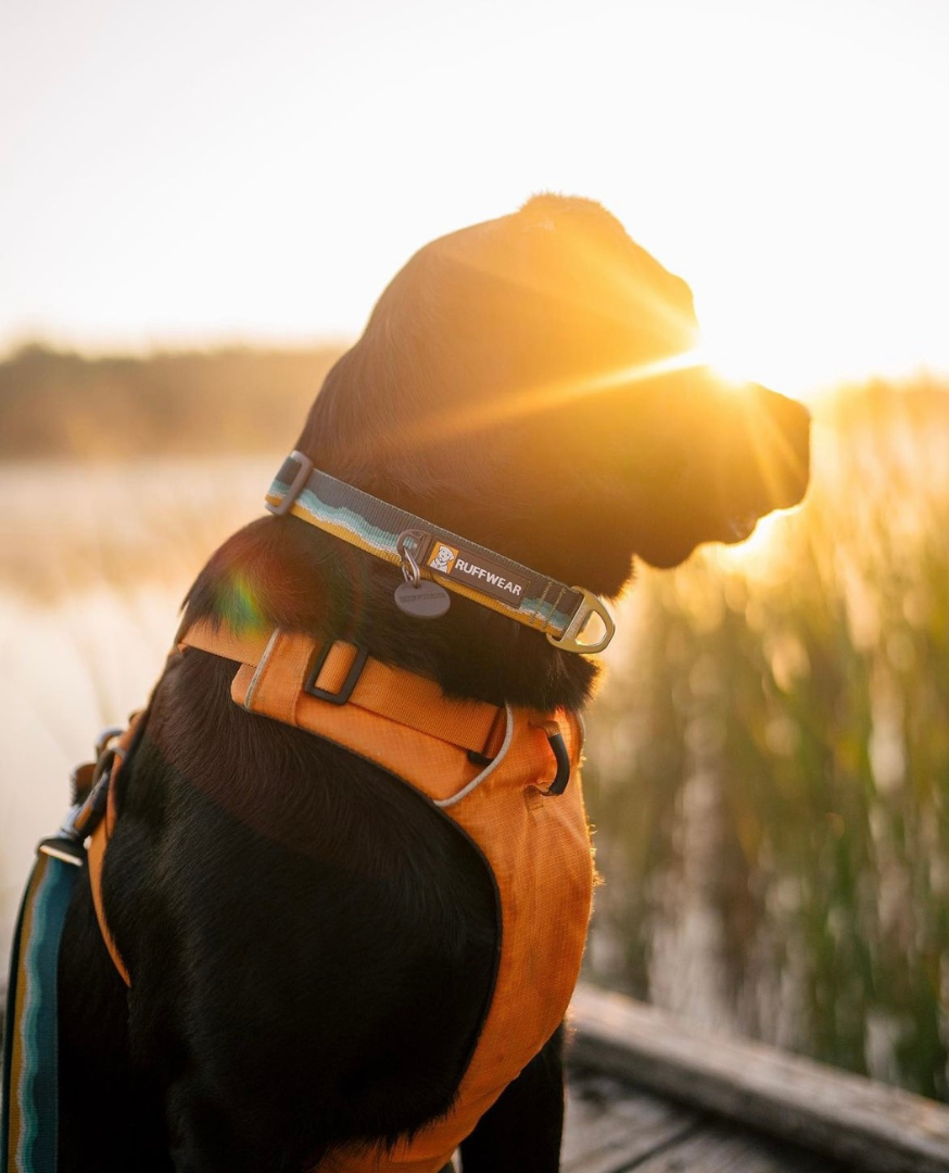Ruffwear