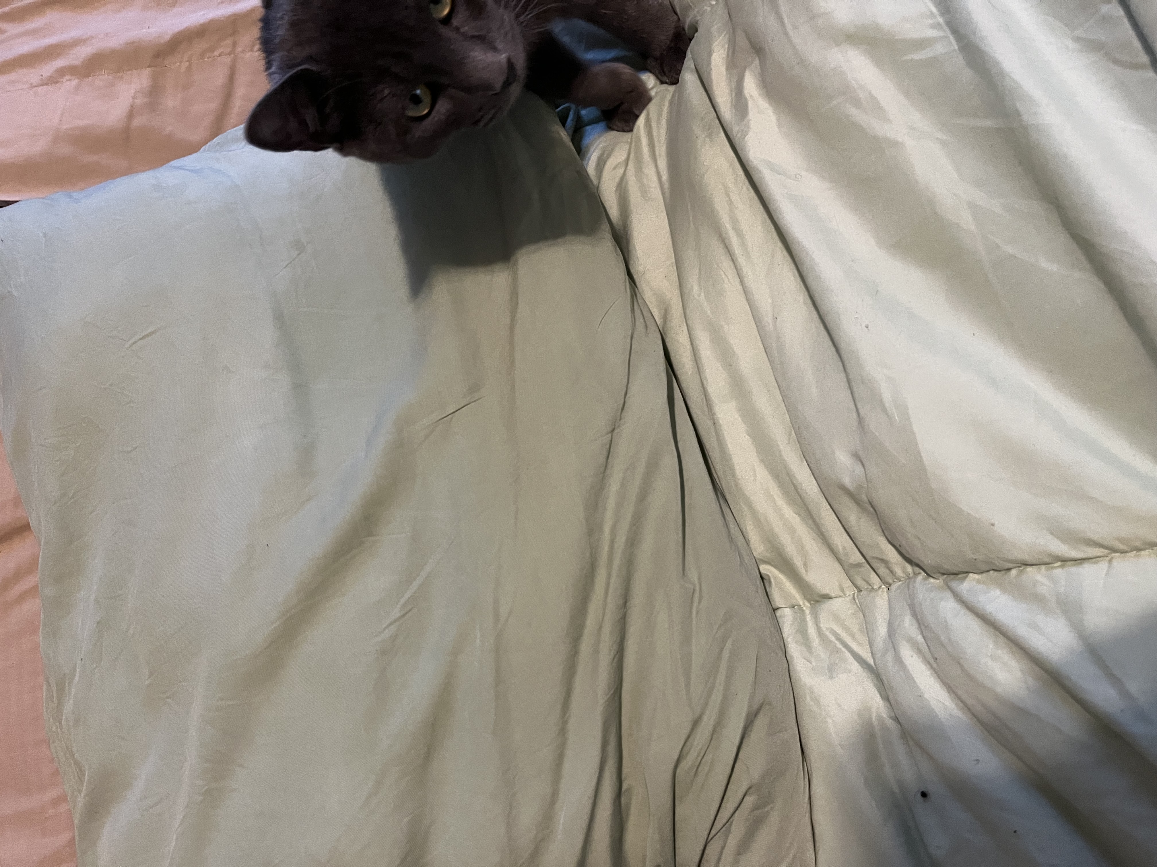 Bedsure
